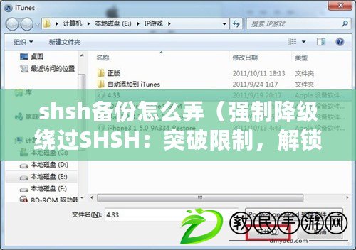 shsh備份怎么弄（強(qiáng)制降級(jí)繞過SHSH：突破限制，解鎖全新可能?。? title=