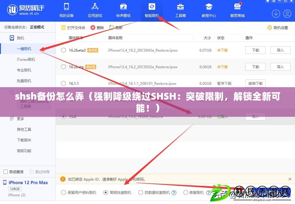 shsh備份怎么弄（強(qiáng)制降級(jí)繞過(guò)SHSH：突破限制，解鎖全新可能?。? title=
