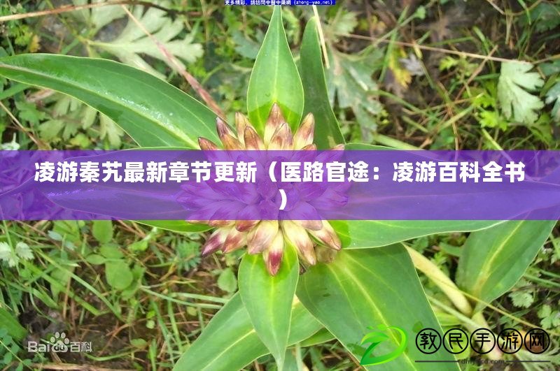 凌游秦艽最新章節(jié)更新（醫(yī)路官途：凌游百科全書）