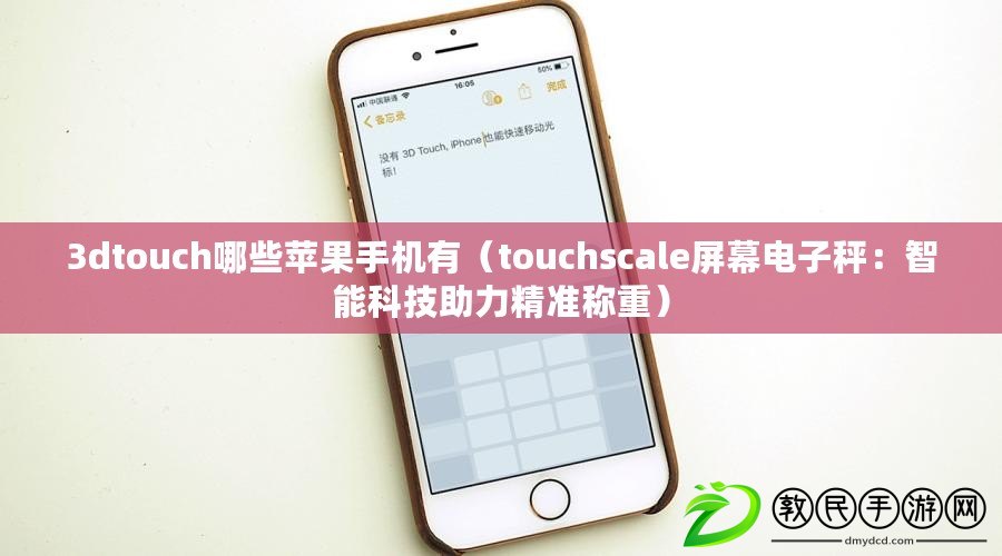 3dtouch哪些蘋果手機有（touchscale屏幕電子秤：智能科技助力精準稱重）