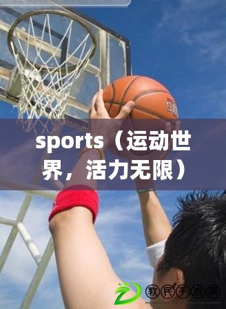 sports（運(yùn)動世界，活力無限）