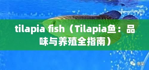 tilapia fish（Tilapia魚：品味與養(yǎng)殖全指南）