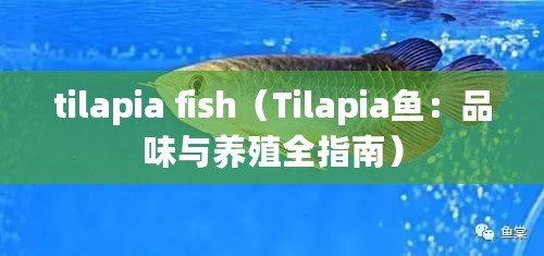 tilapia fish（Tilapia魚：品味與養(yǎng)殖全指南）