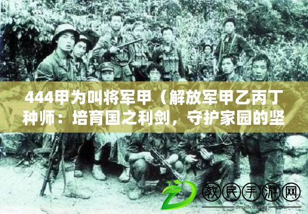 444甲為叫將軍甲（解放軍甲乙丙丁種師：培育國之利劍，守護(hù)家園的堅(jiān)實(shí)防線）