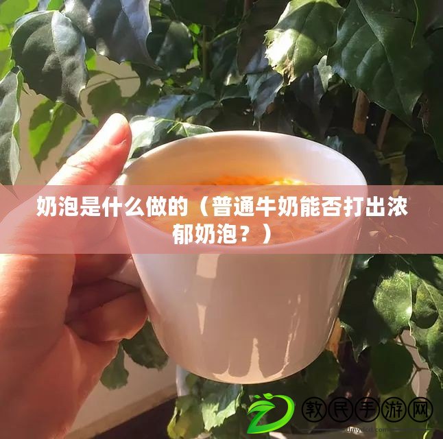 奶泡是什么做的（普通牛奶能否打出濃郁奶泡？）