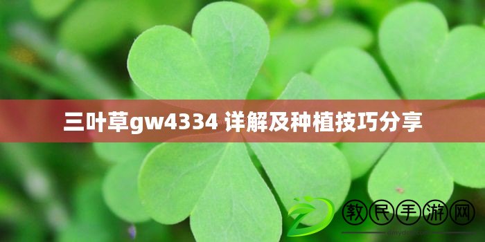 三葉草gw4334 詳解及種植技巧分享