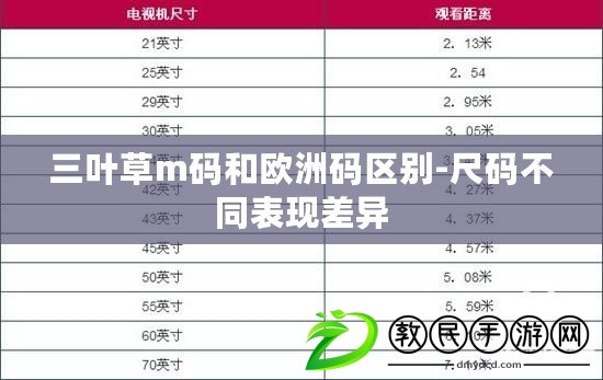 三葉草m碼和歐洲碼區(qū)別-尺碼不同表現(xiàn)差異