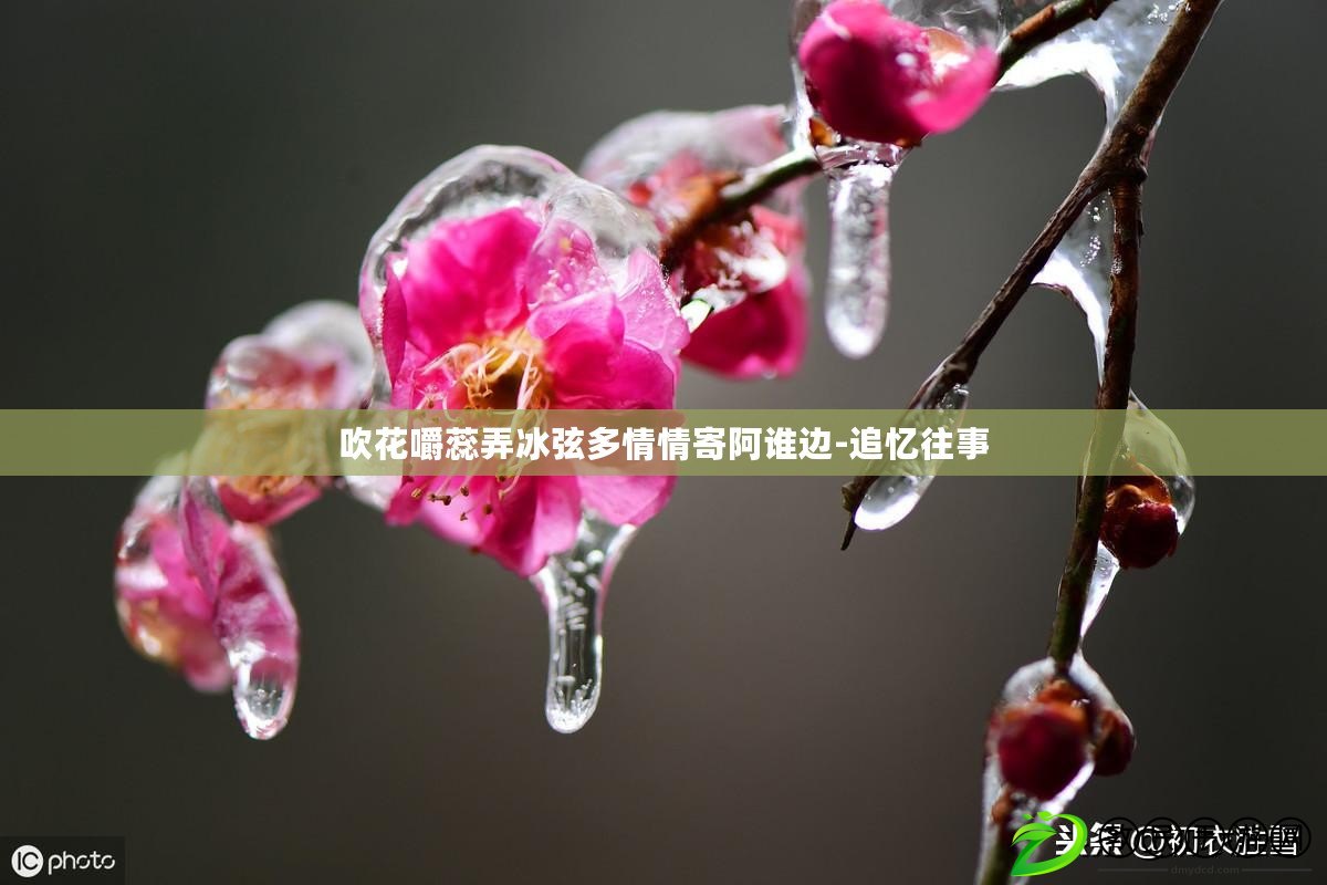 吹花嚼蕊弄冰弦多情情寄阿誰邊-追憶往事