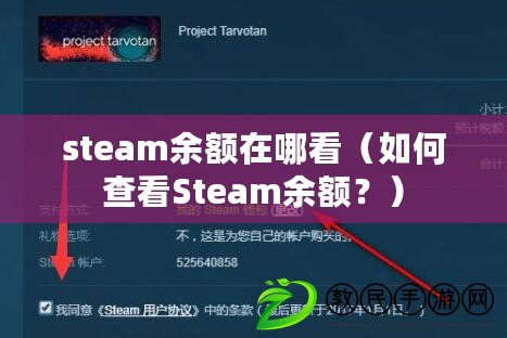 steam余額在哪看（如何查看Steam余額？）